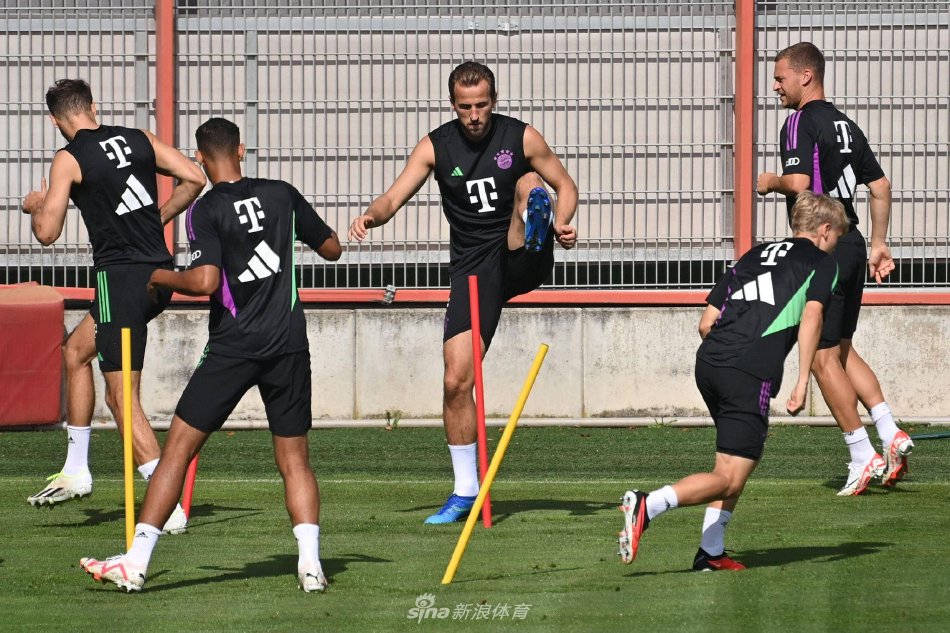 高的亚军成 高的亚军成