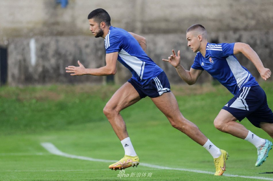 不仅是单一 不仅是单一